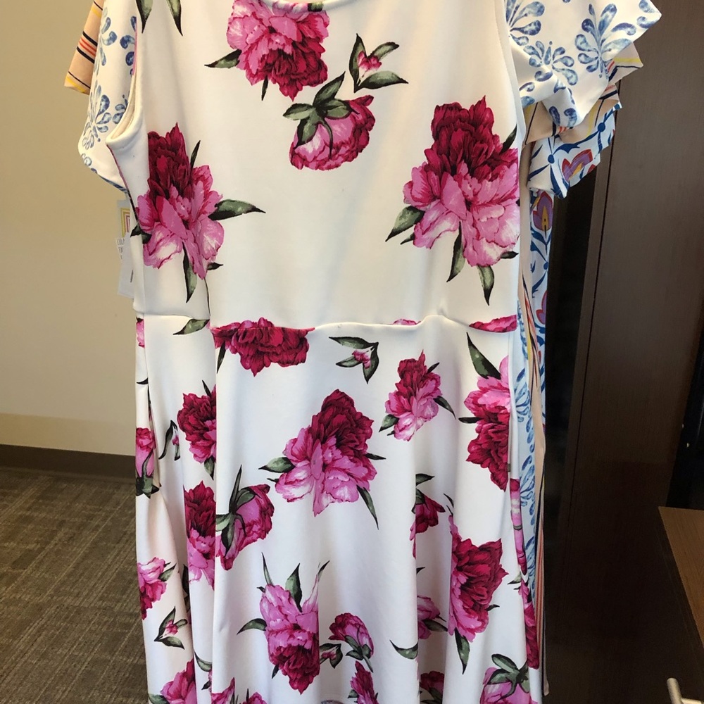 Agnes & Dora Fisher dress